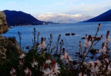 Добро јутро, Херцег Нови!