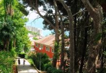 DOBRO JUTRO, HERCEG NOVI!