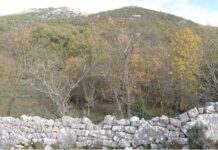 Сувомеђа шанса за село и туризам