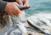 Рибари охрабрени након састанка у Амбасади ЕУ