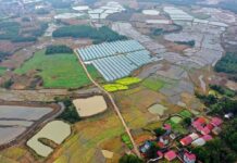 KINESKI CENTRALNI DOKUMENT BROJ 1 OBEĆAVA REVITALIZACIJU SELA