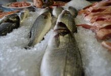 Elektronske ribarske vage do kraja godine, u planu tri za Herceg Novi