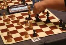 Михаило Пушара најбољи црногорски шахиста на европском првенству младих у Будви