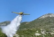 Vlada obezbijedila 3,5 miliona eura za zakup protivpožarnog aviona