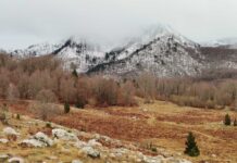 Мјештани подројенских села преко Скупштине општине траже смањење граница Парка природе Орјен