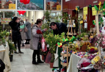 Изложбом цвијећа почиње програм 57. Празник мимозе