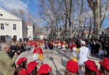 Караван Празника мимозе сутра у Требињу