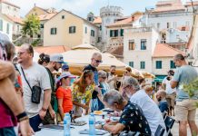 ХСФ – Развојем публике до културолошког чуда