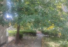 Вечерас почиње јесен