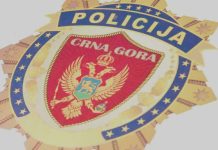 Акција „Странац“: Полиција за дан реализовала 143 репресивне мјере