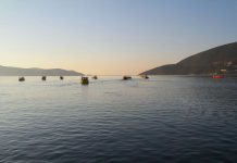 Одржан Куп Ромбуна поводом Дана општине Херцег Нови