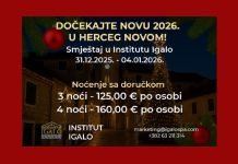 Новогодишњи аранжмани у Институту “Др Симо Милошевић”