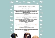 NVO prijatelji životinja „Sara“ i volonteri Crvenog krsta organizuje sutra humanitarnu akciju