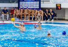 Доминација Црне Горе над Грузијом у Котору