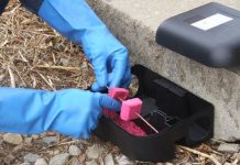 Sutra deratizacija javnih površina