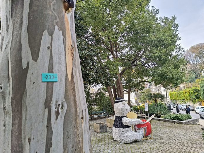 Izrada Registra stabala 5, decembar 2025