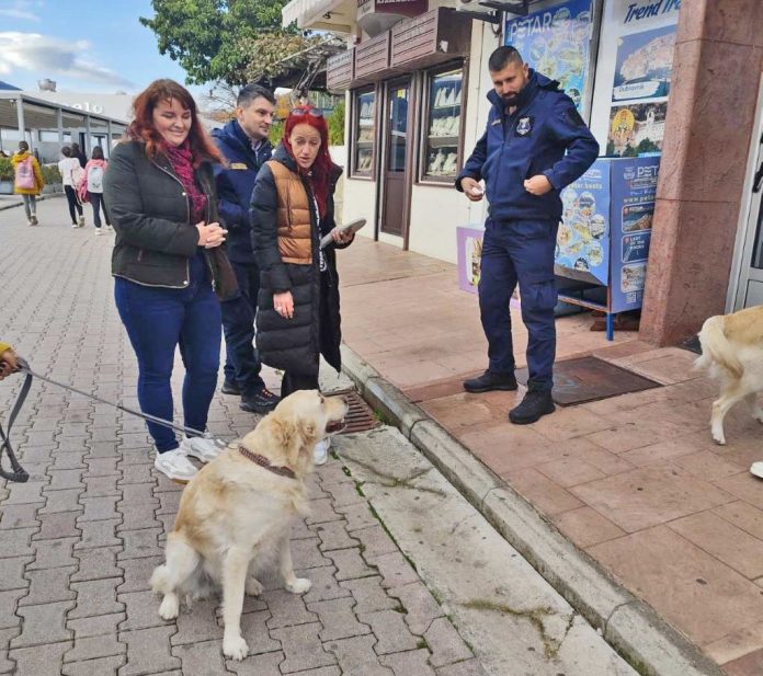 Kontrola kucnih ljubimaca 1, novembar 2025