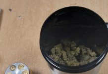 На Дебелом Бријегу лишена слободе особа код које је пронађена марихуана