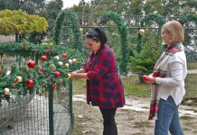 „Море и залеђе”: Чаролију ствара љубав