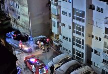 У пожару на Топлој оштећена два возила