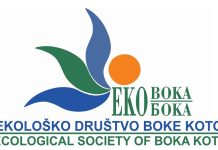 НВО Еколошко друштво Боке Которске: О одрживости туризма и очувању животне средине