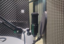 ДРИ може контролисати НВО, ревизијом ће бити обухваћен и ПАМ