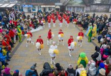 Златибор у знаку мимозе: Херцег Нови најавио 57. Празник мимозе