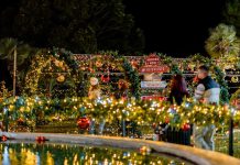 Нови термини за догађаје у „Парку празничне чаролије“