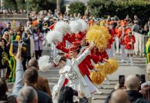 Херцег Нови позива на 57. Празник мимозе: Првог викенда велика фешта и наступи регионалних звијезда