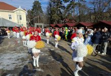 Караван мимозе посјетио Врњачку Бању