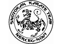 Шотокан тим: Гласање на изборној скупштини Карате савеза било тајно