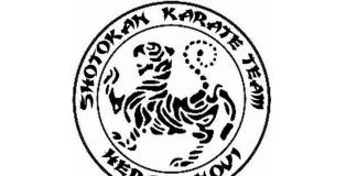 Шотокан тим: Гласање на изборној скупштини Карате савеза било тајно