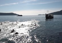 Томашевић и Гавриловић први до Часног крста на Шкверу