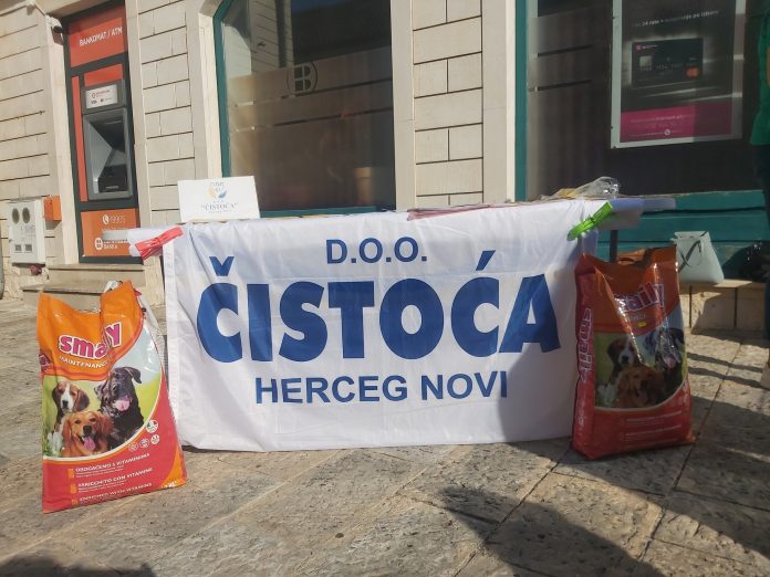 387199699_635373618644670_860838833202842416_n