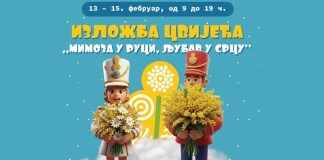 Tradicionalna Izložba cvijeća na 57. Prazniku mimoze