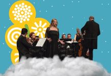 Вечерас концерт Аманде Стојовић и Дубровачког камерног оркестра