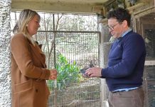 Најава: „Море и залеђе“ – Љубав према голубарству