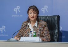 Доклестић: У Херцег Новом велики инфраструктурни, туристички и стамбени пројекти се реализују без обавезних процјена утицаја на животну средину