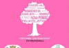 Дан ружичастих мајица сутра испред зграде Општине Херцег Нови