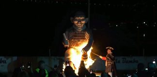 Завршен 57. Празник мимозе: У пламену нестао Заобилитис Нервозитис Максимус