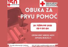 Црвени крст Херцег Нови организовао обуку за пружање прве помоћи