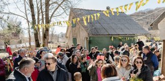 Први мирис мимозе на Орјену: Фешта на планини привукла велики број посјетилаца