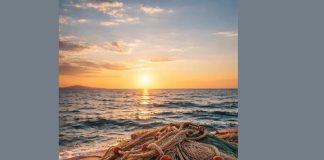 Екстремни нивои мора на мареографским станицама у Бару и Котору – нови историјски максимуми