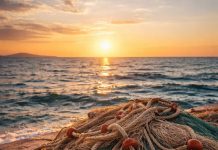 Екстремни нивои мора на мареографским станицама у Бару и Котору – нови историјски максимуми