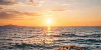 Екстремни нивои мора на мареографским станицама у Бару и Котору – нови историјски максимуми