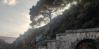 Motociklista povrijedio dijete na Šetalištu Pet Danica