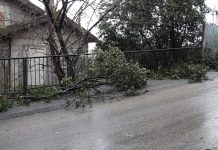 Јаки удари вјетра нанијели штету у појединим дијеловима града