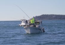 Rekordnih 30 ekipa na 27. Kupu mimoza u sportskom ribolovu