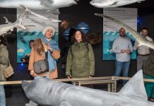 Изложба „Господари дубина“ Природнњачког музеја Црне Горе гостује у Београду