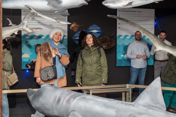 Ajkule i raže Jadrana